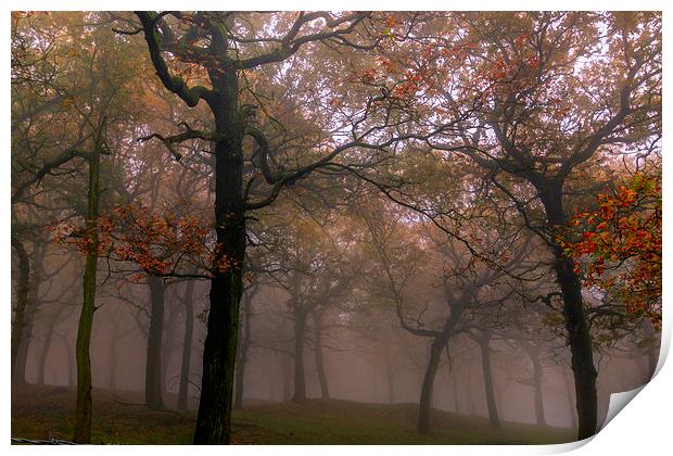Foggy Autumn   Print by chris smith