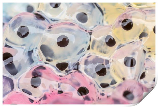 Abstract Frogspawn          Print by chris smith