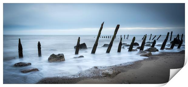 Wooden groynes           Print by chris smith
