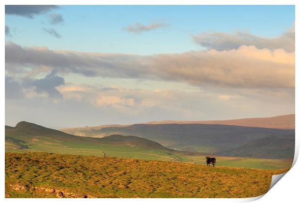 Yorkshire Dales      Print by chris smith