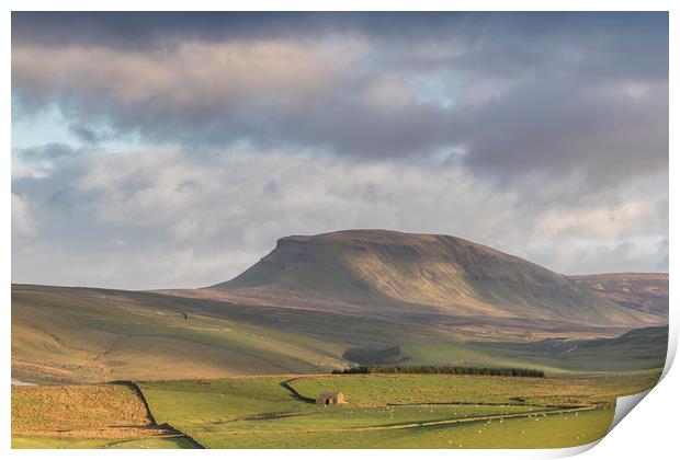 Yorkshire Dales      Print by chris smith