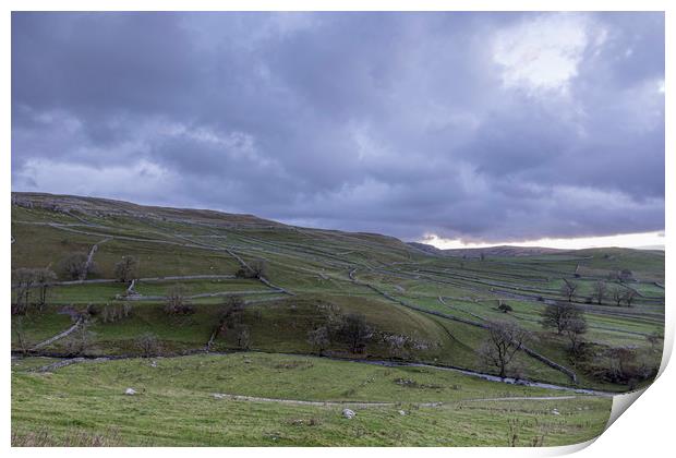 Yorkshire Dales  Print by chris smith