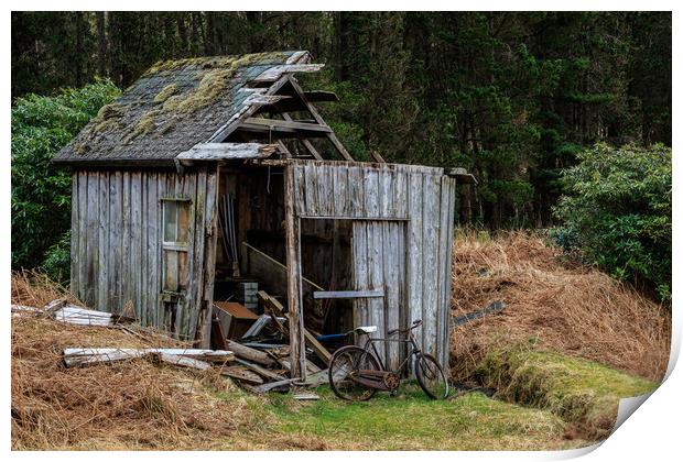 Abandoned shed  Print by chris smith