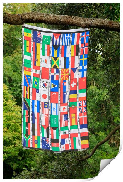 Flags       Print by chris smith