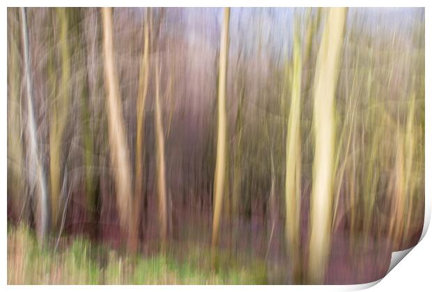 abstract blur forest  Print by chris smith