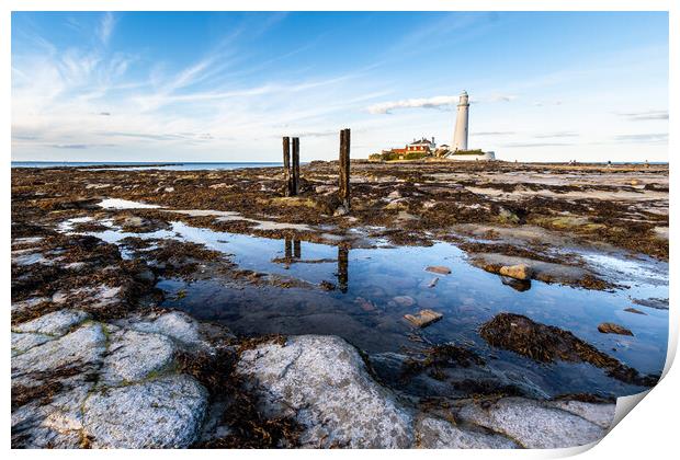 st marys lighthouse Print by chris smith