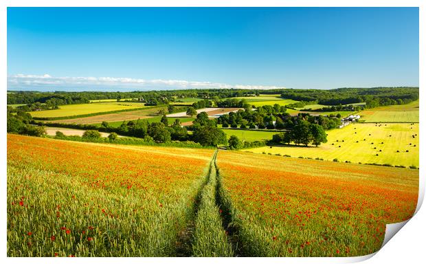 Poppies on the Kent Downs Print by Stewart Mckeown