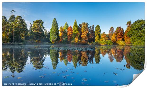 Bedgebury Pinetum Autumn Print by Stewart Mckeown