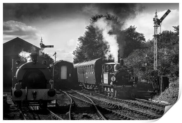 Mid Hants Railway Watercress Line  Print by Philip Enticknap