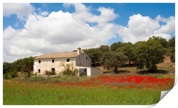 Derelict house ,Andalucia Spain Print by Philip Enticknap