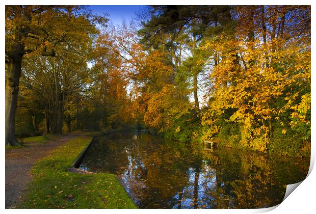 Basingstoke Canal in Autumn  Print by Philip Enticknap
