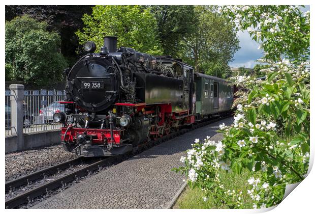 Steam train on the Zittau Railway,Saxony ,Germany. Print by Philip Enticknap