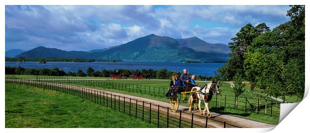 Jaunting Cart, County Kerry, Ireland  Print by Philip Enticknap