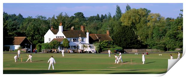 Village Cricket Match, Tilford Surrey England . Print by Philip Enticknap
