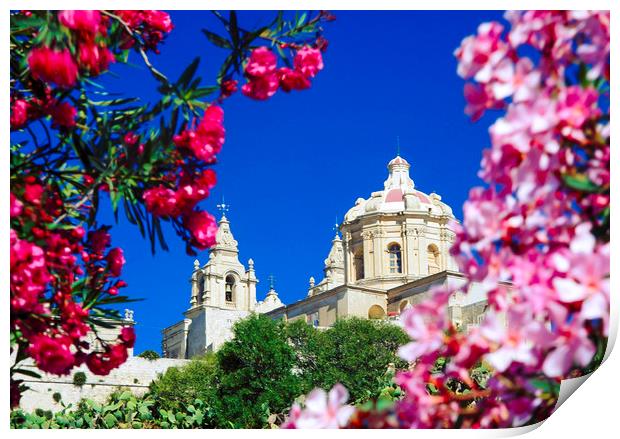 Cathedral of St Paul, Mdina Malta. Print by Philip Enticknap