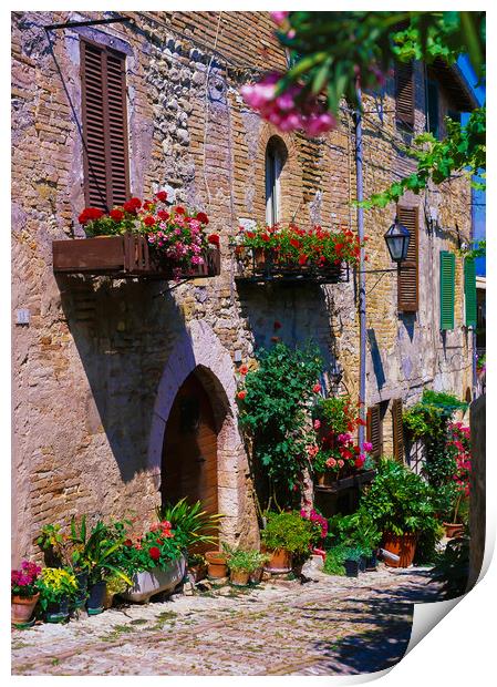 MONTEFALCO,UMBRIA,ITALY Print by Philip Enticknap