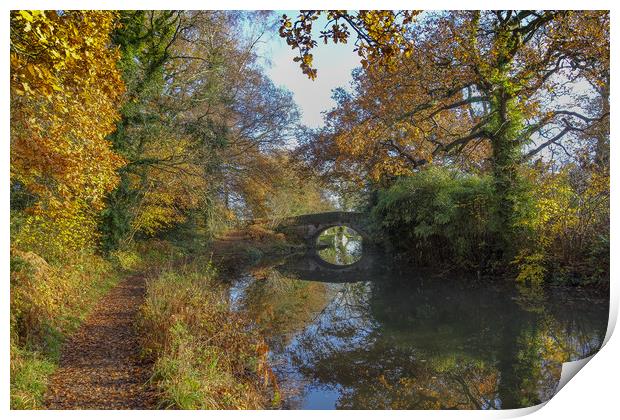 Basingstoke Canal Autumn Print by Philip Enticknap
