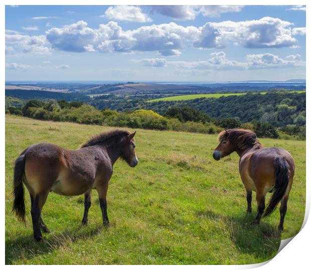 Butser Hill ,Hampshire  Print by Philip Enticknap