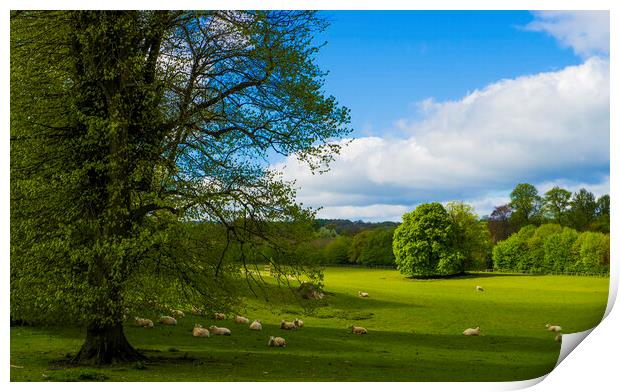 Grounds of Chawton House Library,Hampshire Print by Philip Enticknap