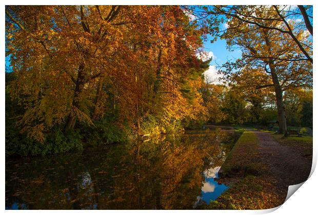 Basingstoke Canal in Autumn  Print by Philip Enticknap