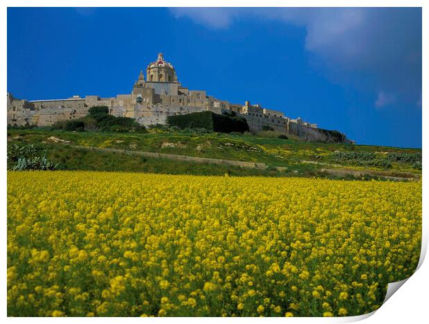 Mdina , Malta  Print by Philip Enticknap