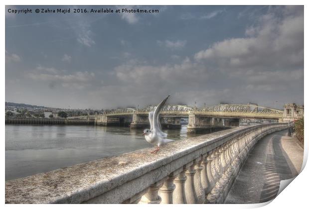 Historic Rochester Bridge Photobombed  Print by Zahra Majid