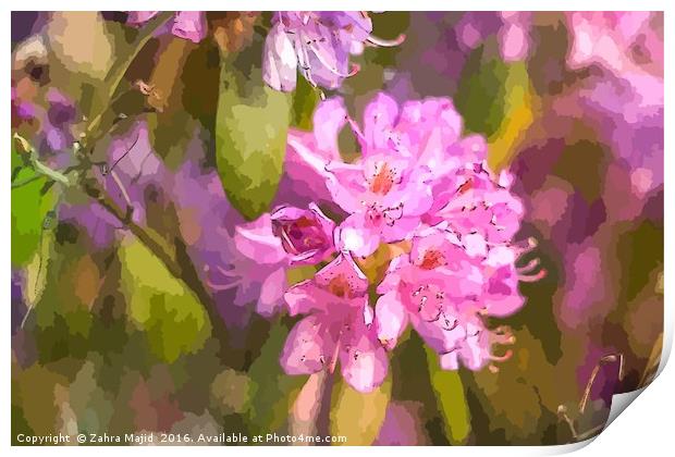 Pink Flower Art Print by Zahra Majid