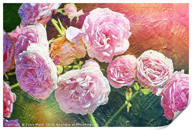 Pretty Pink Roses for Summer Print by Zahra Majid