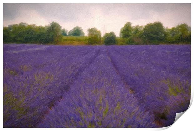 Artsy Lavender Print by Zahra Majid