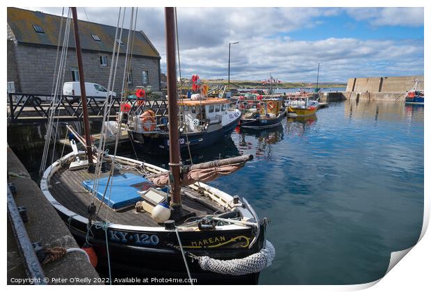 Whitehills Harbour, Aberdeenshire Print by Peter O'Reilly
