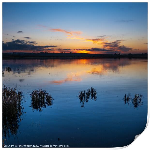 Spey Estuary Sunset Print by Peter O'Reilly