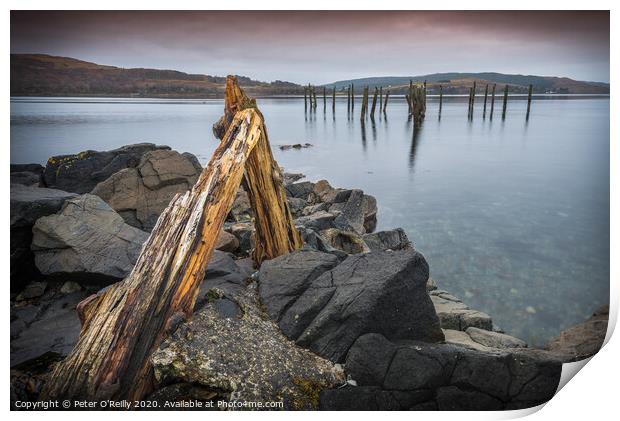 Remains of the Pier Print by Peter O'Reilly