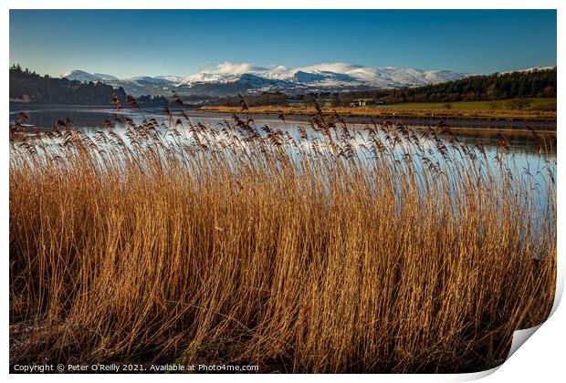 Snowdonia Mountains & the River Conwy Print by Peter O'Reilly