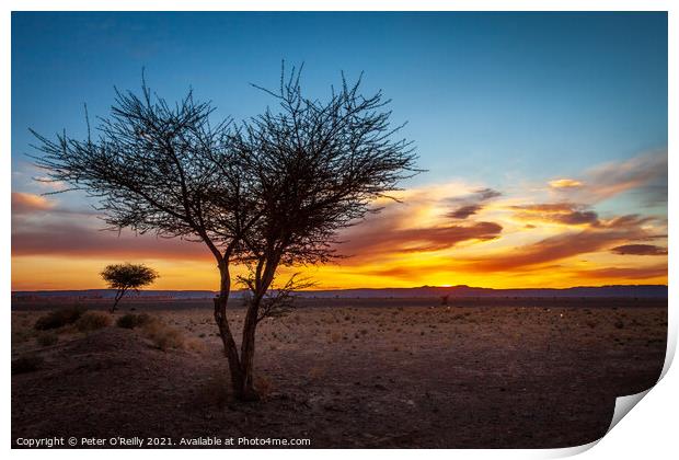 Desert Sunset #1 Print by Peter O'Reilly