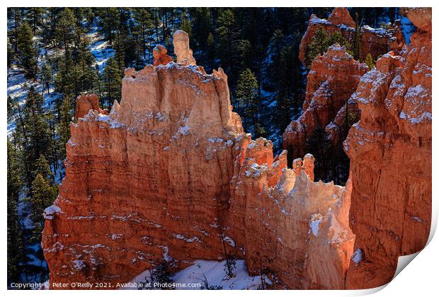 Bryce Canyon Hoodoos Print by Peter O'Reilly