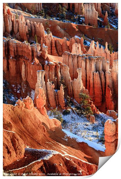 Sunrise at Bryce Canyon #5 Print by Peter O'Reilly