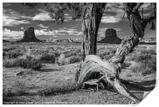 Monument Valley #3 Print by Peter O'Reilly