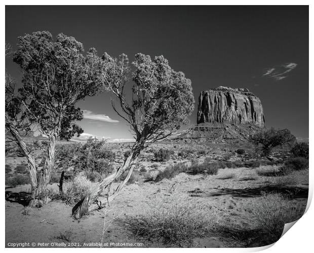 Monument Valley #7 Print by Peter O'Reilly