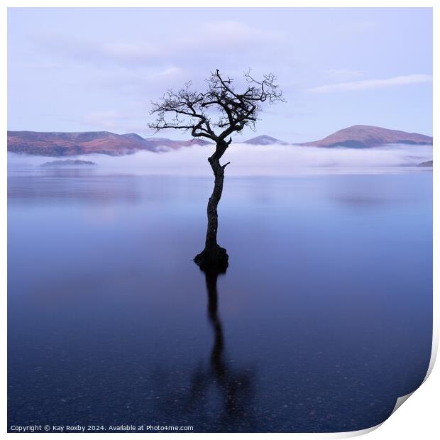 Lone Tree Milarrochy Bay Loch Lomond Print by Kay Roxby