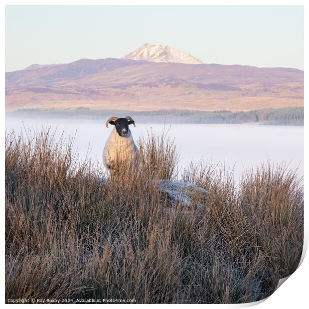 Ben Lomond cloud inversion Print by Kay Roxby