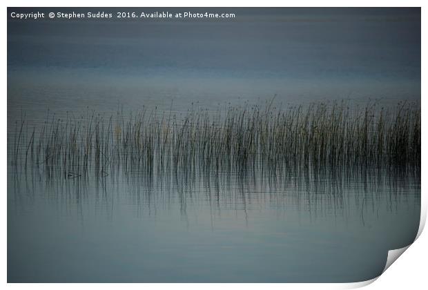 Sedge and long grass in lakeside shallows  Print by Stephen Suddes