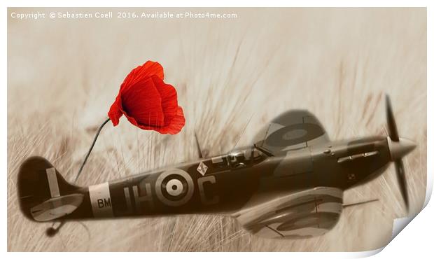 Remembrance field  Print by Sebastien Coell