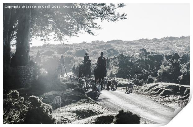 Horse and hounds Print by Sebastien Coell