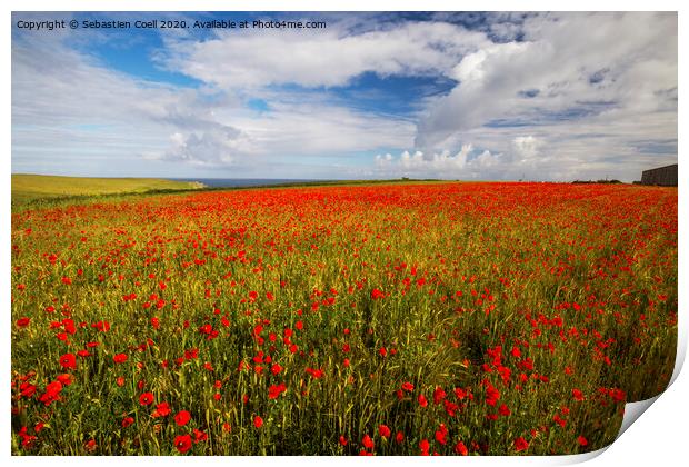 Poly Joke Flowers Print by Sebastien Coell