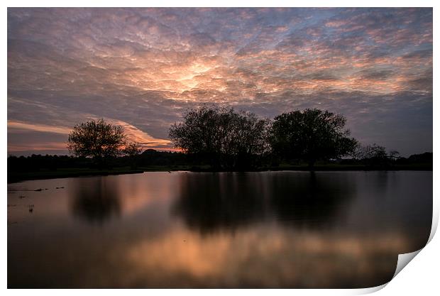  New Forest Sunset Print by Paul Chambers