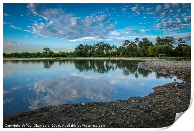 New Forest Reflection Print by Paul Chambers