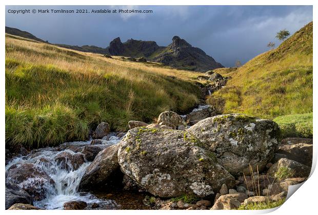 The Cobbler in the afternoon Print by Mark Tomlinson