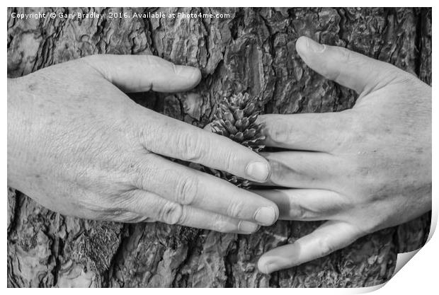 Tree Hug Print by GBR Photos