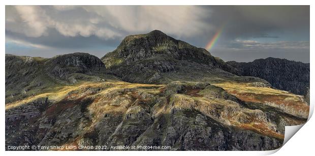 HARRISON STICKLE SUNLIGHT 2 Print by Tony Sharp LRPS CPAGB