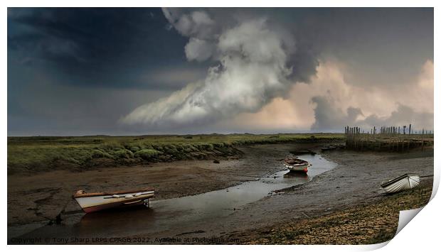 HIGH AND DRY -NORFOLK ESTUARY LOW TIDE Print by Tony Sharp LRPS CPAGB